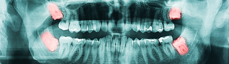 DR.SHIN'S DENTAL CLINIC